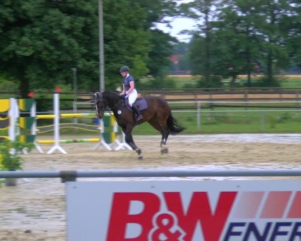 Reitturnier Coesfeld/Lette 2025