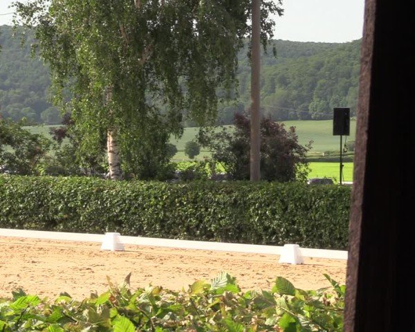 Reitturnier Wingerode 2025