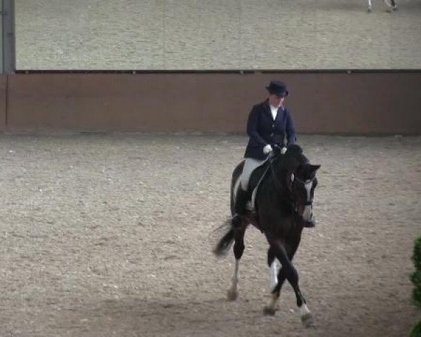 Bonn - Gut Ettenhausen 2014