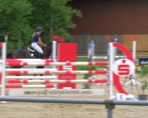Reitturnier Coesfeld/Lette 2025