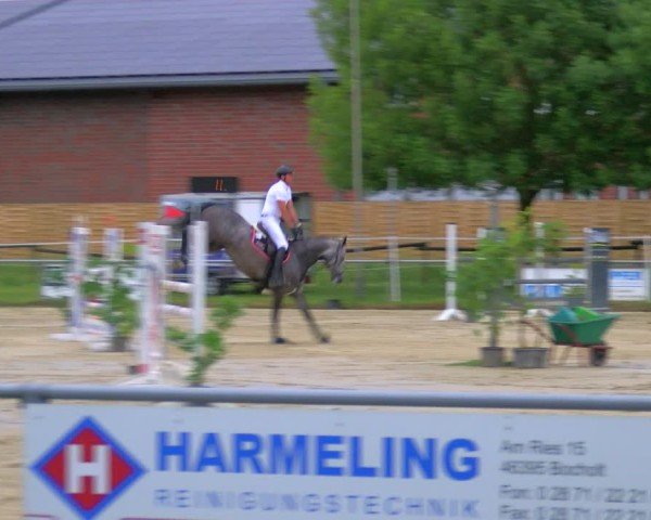 Reitturnier Coesfeld/Lette 2025
