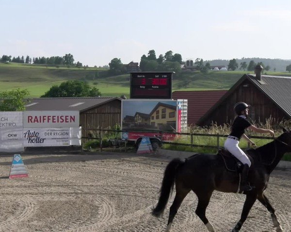 Reitturnier Ruswil 2025
