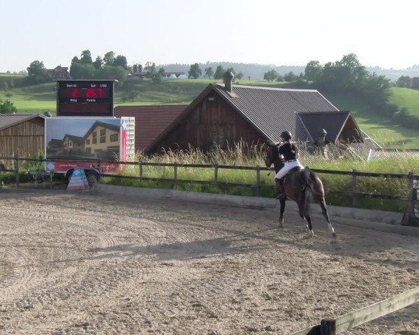 Reitturnier Ruswil 2025