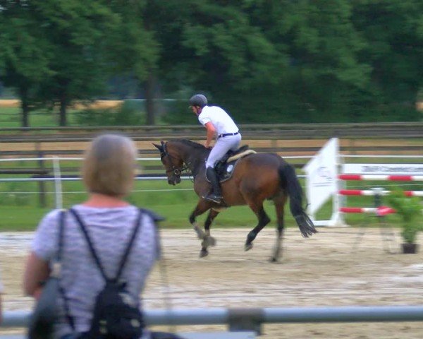 Reitturnier Coesfeld/Lette 2025