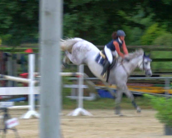 Reitturnier Coesfeld/Lette 2025