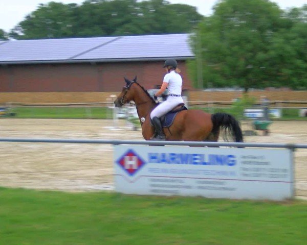 Reitturnier Coesfeld/Lette 2025