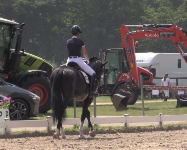 Reitturnier Coesfeld/Lette 2025