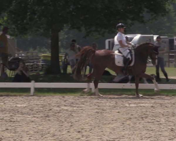 Reitturnier Coesfeld/Lette 2025