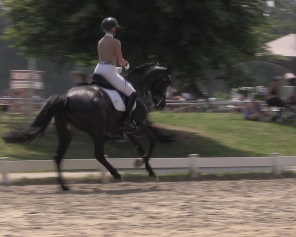 Reitturnier Coesfeld/Lette 2025