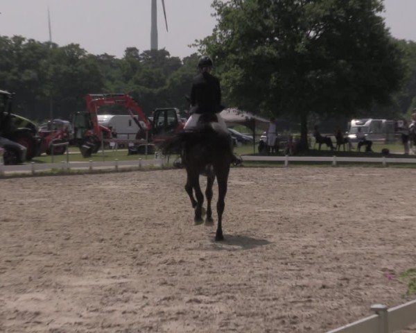 Reitturnier Coesfeld/Lette 2025