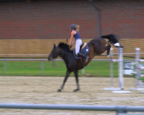 Reitturnier Coesfeld/Lette 2025