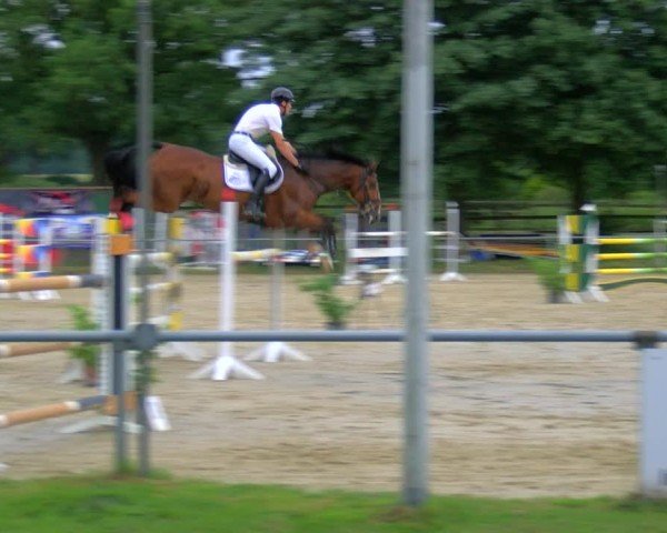 Reitturnier Coesfeld/Lette 2025