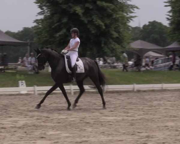 Reitturnier Coesfeld/Lette 2025