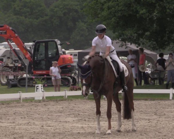 Reitturnier Coesfeld/Lette 2025