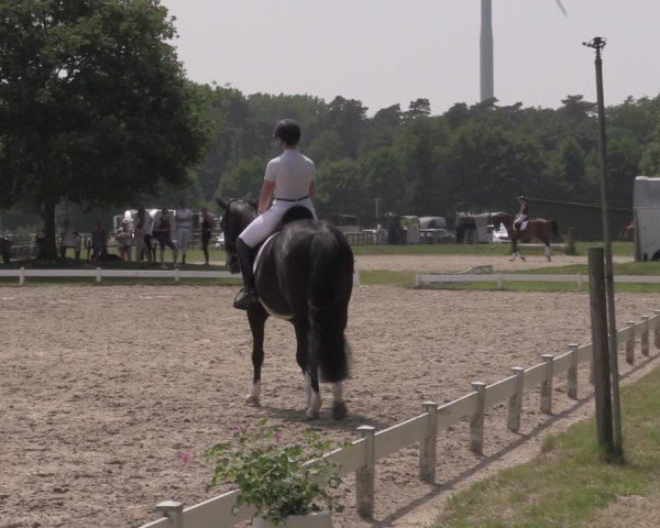 Reitturnier Coesfeld/Lette 2025