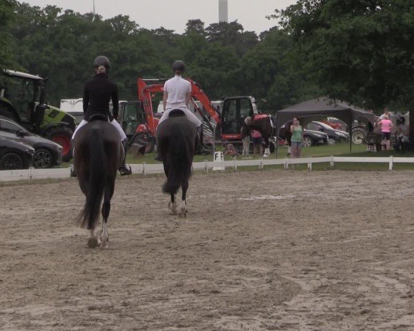 Reitturnier Coesfeld/Lette 2025