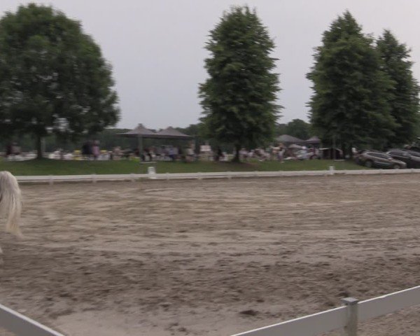 Reitturnier Coesfeld/Lette 2025