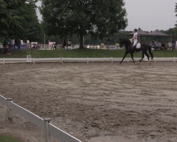 Reitturnier Coesfeld/Lette 2025