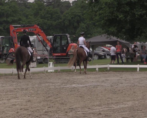 Reitturnier Coesfeld/Lette 2025
