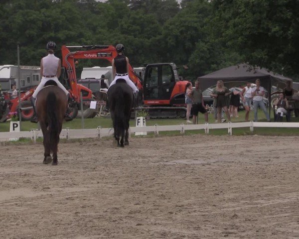 Reitturnier Coesfeld/Lette 2025