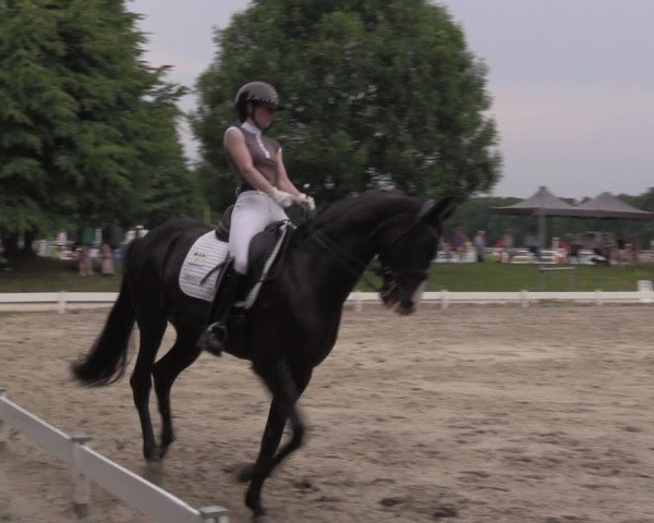 Reitturnier Coesfeld/Lette 2025