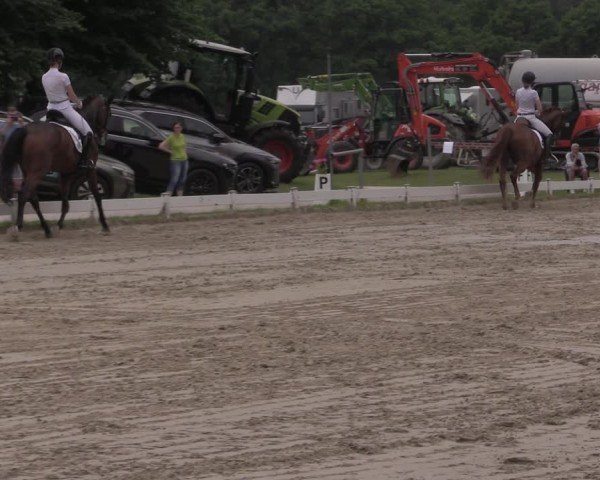 Reitturnier Coesfeld/Lette 2025