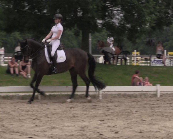 Reitturnier Coesfeld/Lette 2025