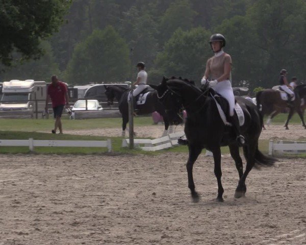 Reitturnier Coesfeld/Lette 2025