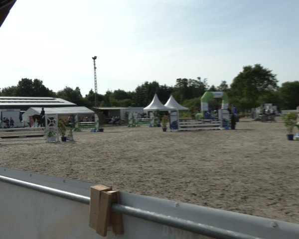 Reitturnier Großenwiehe 2025