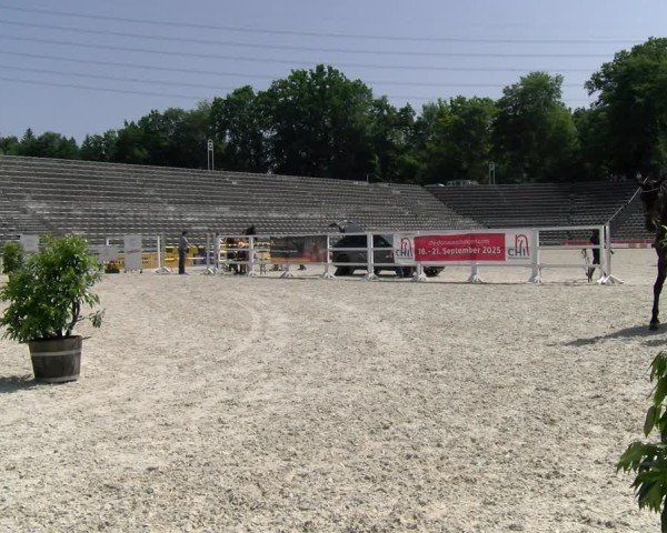 Fohlenschau Marbach 2025