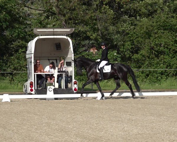 Reitturnier Maienfeld 2025