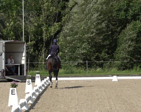 Reitturnier Maienfeld 2025