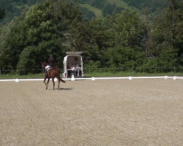Reitturnier Maienfeld 2025