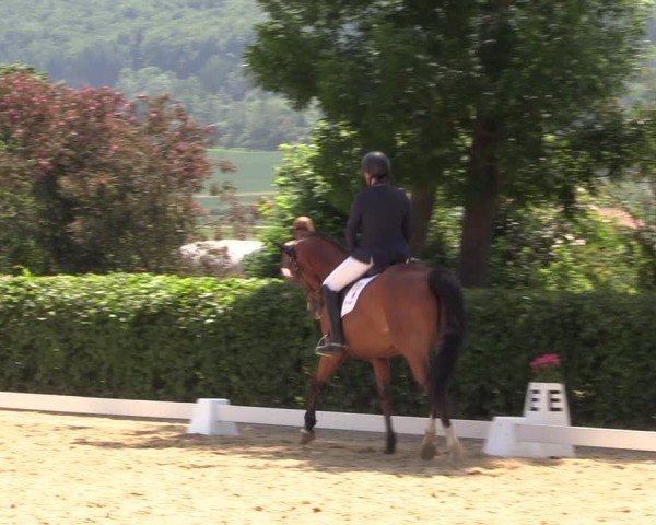Reitturnier Wingerode 2025