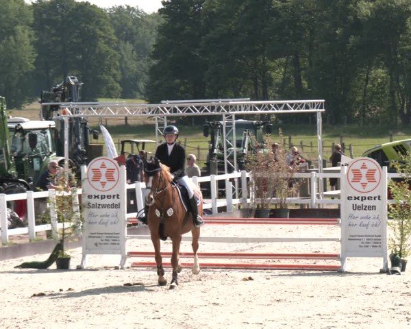 Reitturnier Brockhöfe 2025