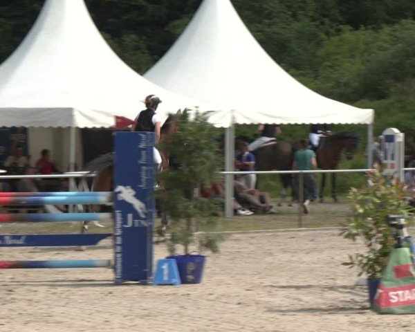 Reitturnier Großenwiehe 2025