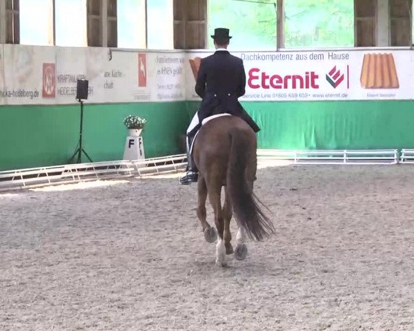 Walldorf 2014