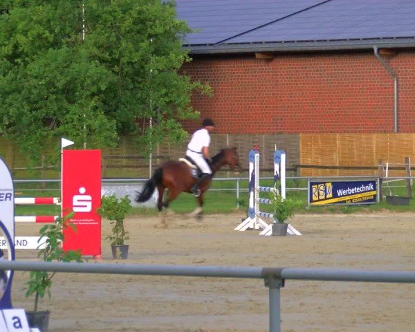 Reitturnier Coesfeld/Lette 2025