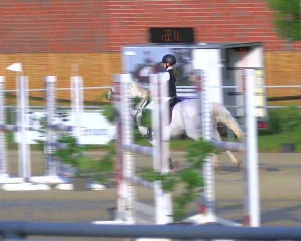 Reitturnier Coesfeld/Lette 2025