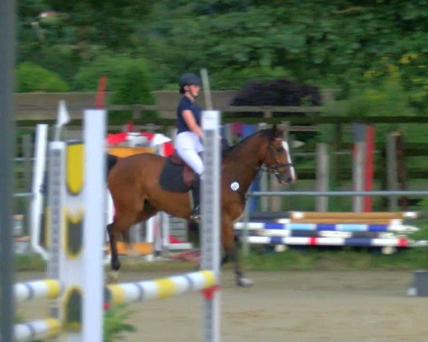 Reitturnier Coesfeld/Lette 2025