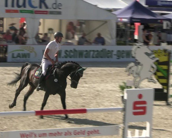 Reitturnier Holschdubrau 2025