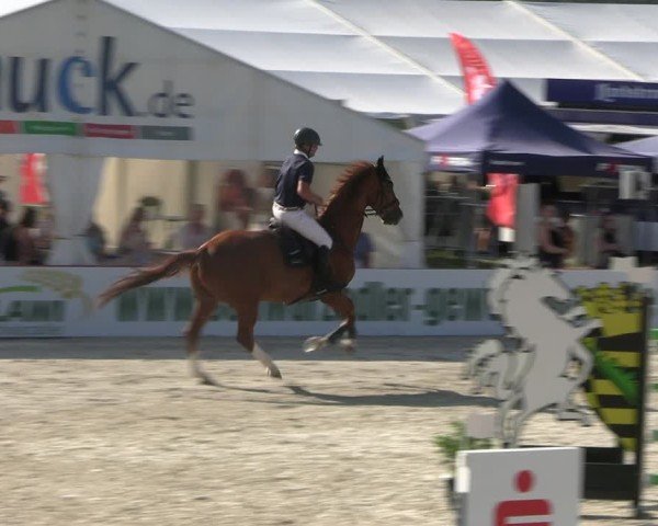 Reitturnier Holschdubrau 2025
