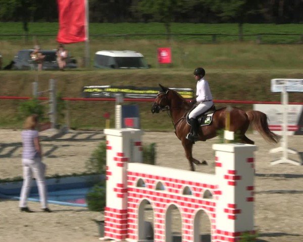 Reitturnier Holschdubrau 2025
