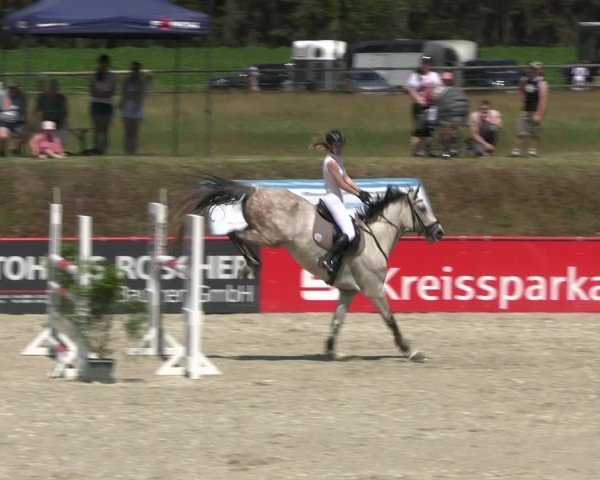 Reitturnier Holschdubrau 2025
