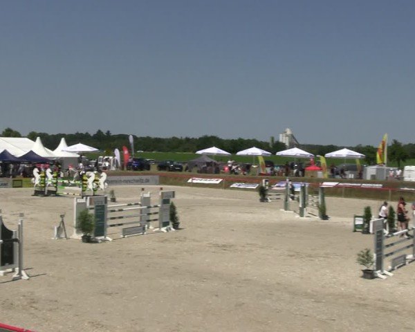 Reitturnier Holschdubrau 2025