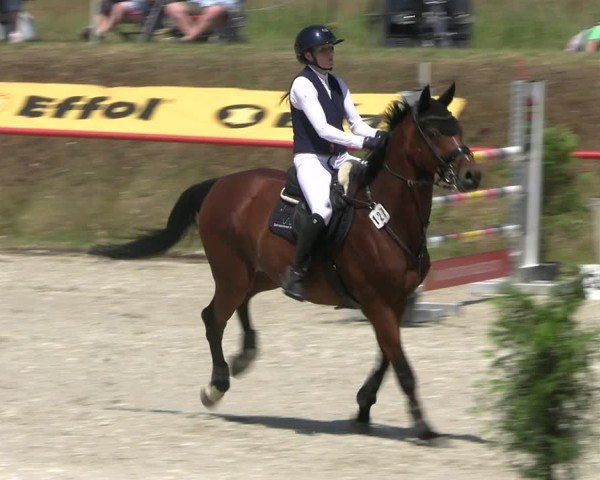 Reitturnier Holschdubrau 2025