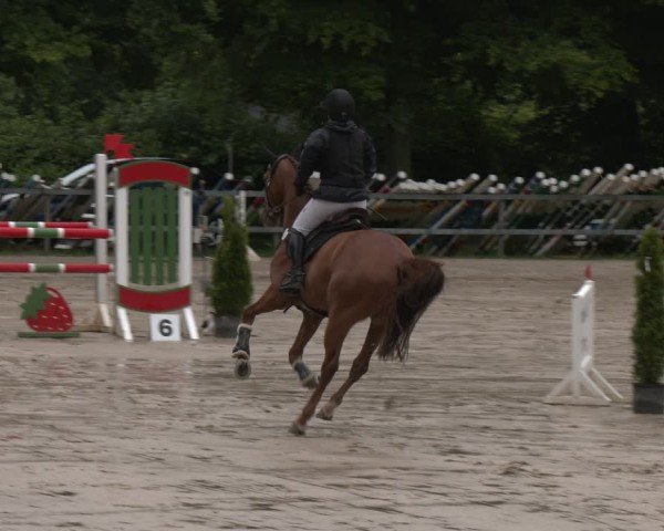 Reitturnier Letmathe 2025