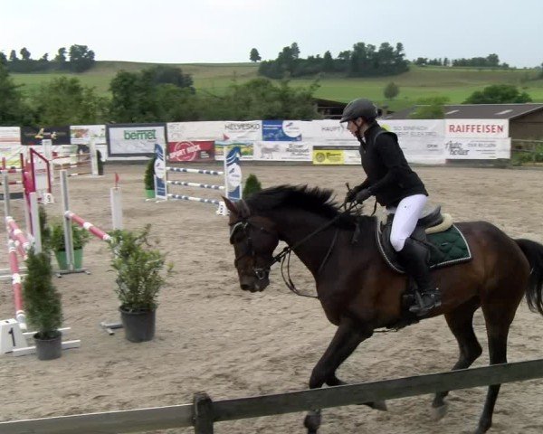 Reitturnier Ruswil 2025