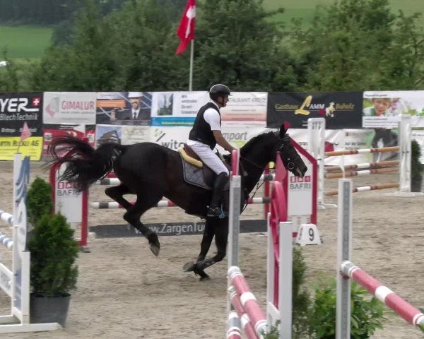 Reitturnier Ruswil 2025