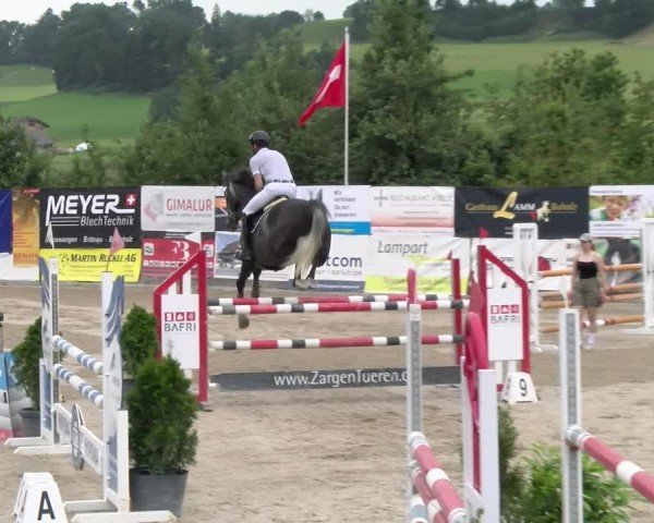 Reitturnier Ruswil 2025